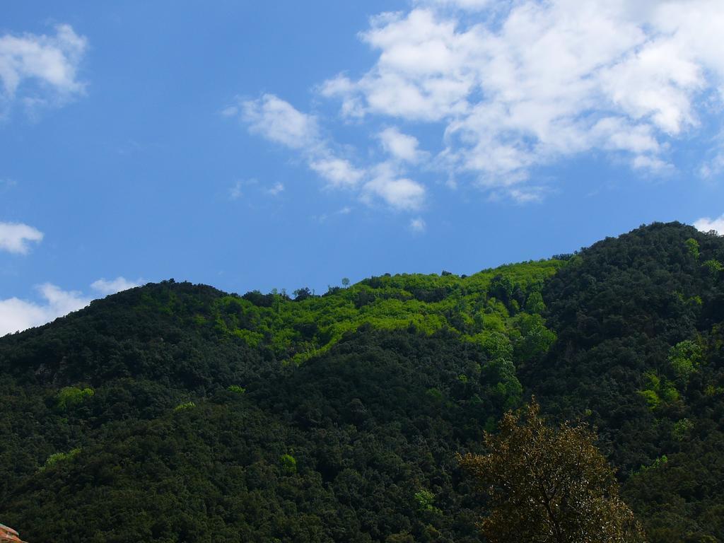Susqueda Mas Els Terrats旅馆 外观 照片