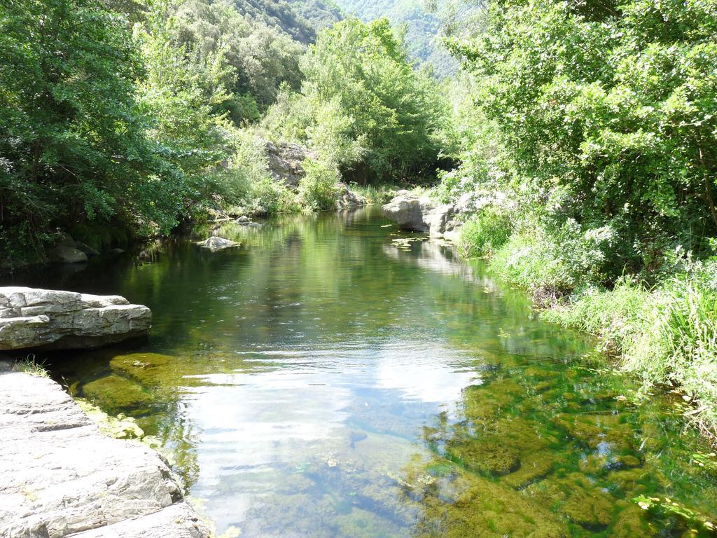 Susqueda Mas Els Terrats旅馆 外观 照片